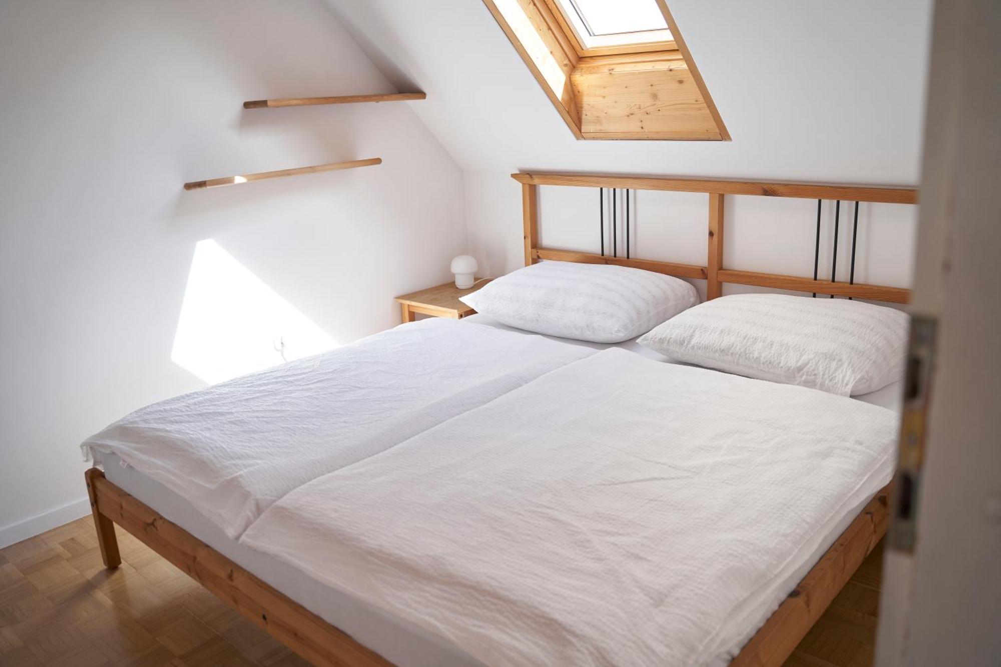 Dragon Apartment